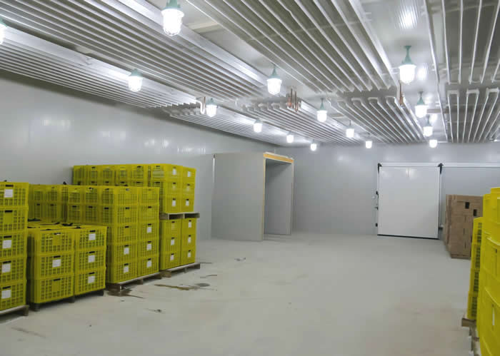 低溫冷庫溫度多少合適？是否越低越好