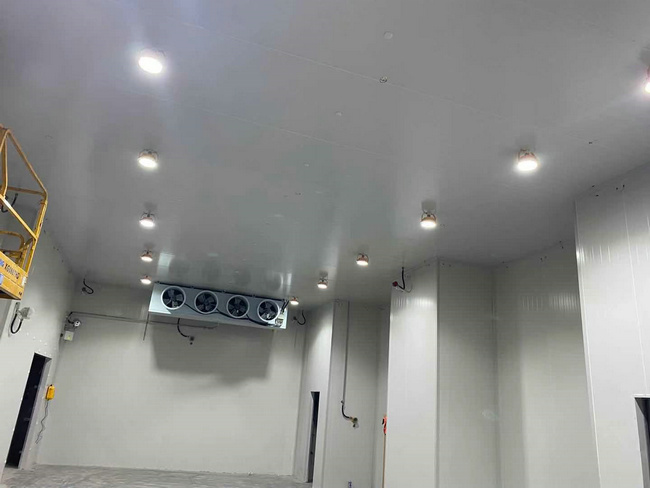 建個(gè)存放10噸貨物的冷庫(kù)大概需要多少錢？